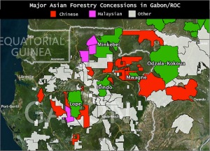 Κινέζικα δάση: Γκαμπόν και Δημοκρατία του Κονγκό